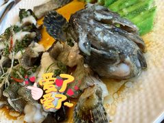葱油淋鲈鱼-和平馆·地道港澳茶餐厅(西门口店)