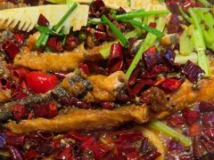 -老板恋上鱼(恒隆广场店)