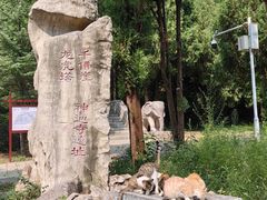 -四门塔风景区