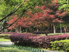 -金银湖国家城市湿地公园