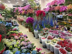 -双季花艺园艺市场(浦东店)