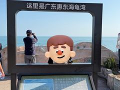 -广东惠东海龟国家级自然保护区
