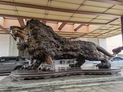 -春晖园度假酒店温泉