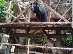 -长鹿旅游休博园