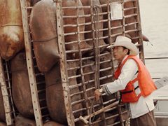 -银川河东国际机场