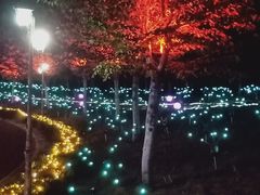 -云幽谷旅游区