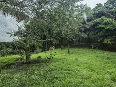 -沈阳森林动物园