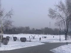 -群力丁香公园