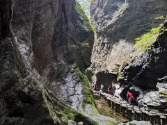 -牛背梁国家森林公园