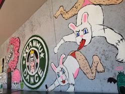 -泫舞舞蹈工作室