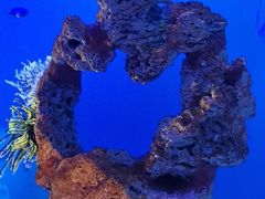 -海合安武汉极地海洋公园