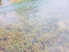 -靖西鹅泉风景区