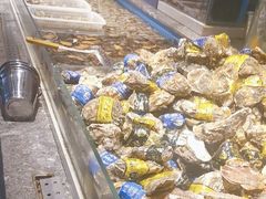 生蚝-一方渔歌蒸汽海鲜自助(文化路万达广场店)