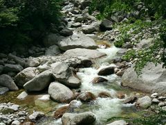 -青峰峡国家森林公园