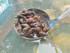 -杨记新泉美食
