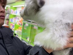 -唐小姐の猫狗洗护·购宠旗舰店(周浦万达店)