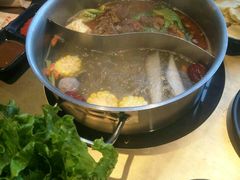 -手选潮汕鲜活牛肉火锅(二七广场店)