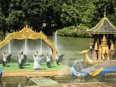 -西双版纳原始森林公园