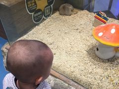 -龟与熊猫宠物公园(南坪店)