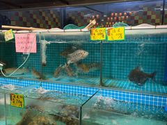 -石岐乳鸽村(南海第三分店)