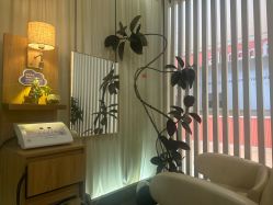 点击看大图 -丝域养发馆