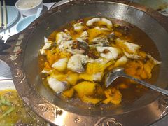 -雲蜀龙阁·金牌水煮鱼(方庄店)