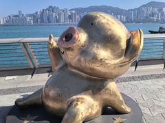 -星光大道
