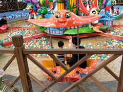 -南宫五洲植物乐园