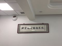 -北京观赏动物医院·24小时大型综合·猫专科·异宠专科