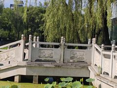 -莲湖公园