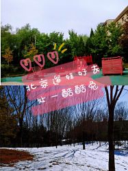 -酷酷兔少儿拓展天地
