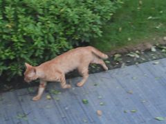 -杭州西子湖四季酒店-WL BISTRO西湖餐厅(灵隐路店)