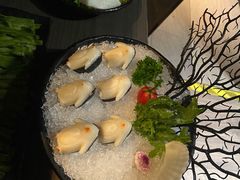 企鹅丸-湊湊火锅·茶憩(石家庄万象城店)
