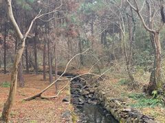 -南京市无想山景区