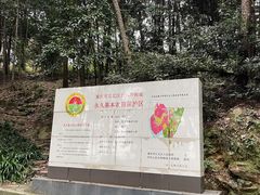 -铁山坪森林公园