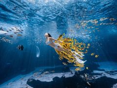 -三亚海昌梦幻海洋不夜城