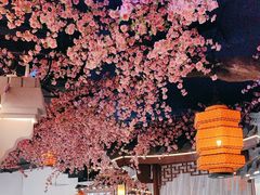 -荷塘秋月·本帮江浙菜(国权路店)