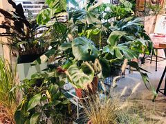 -GOTLOT COFFEE&KITCHEN角落厨房NOOK店