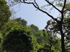 -重庆平顶山公园