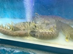 -盒马鲜生(杭州运河上街店)