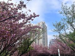 -苏州河梦清园环保主题公园