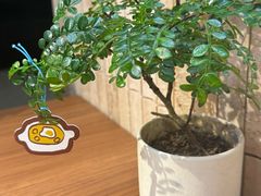 -CURRY YA 熟成咖哩專門店(深圳湾万象城店)
