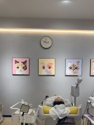 -洗脸猫·洗脸吧