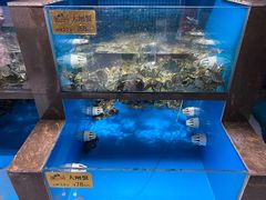 水产区-蟹小姐节气生鲜·年货(高新店)