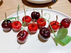 -小大董·烤鸭(五棵松店)