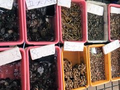 -老字号蛇口德记烧腊饭店·海鲜加工