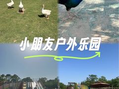 -上海长兴岛郊野公园