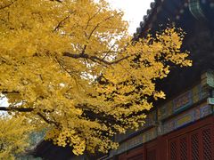 -红螺寺