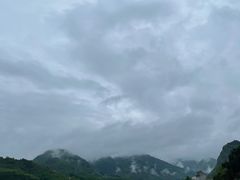 -后柳水乡