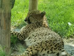 -北京野生动物园